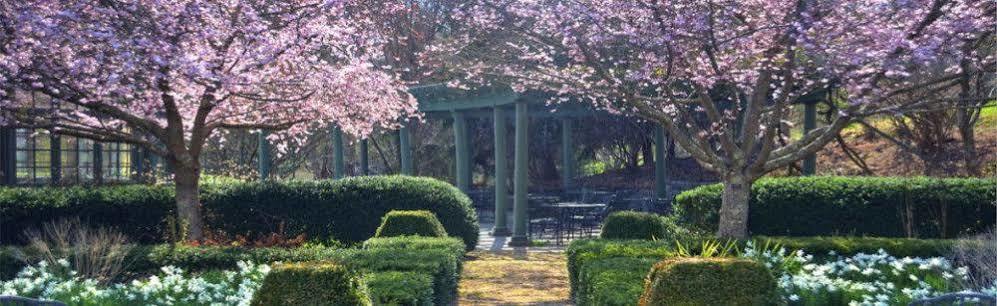 Om Sanctuary Holistic Retreat Hotel Asheville Luaran gambar